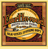 ERNIE BALL P02051