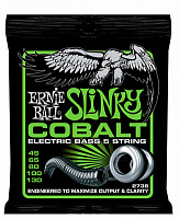 ERNIE BALL P02736