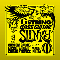 ERNIE BALL P02837