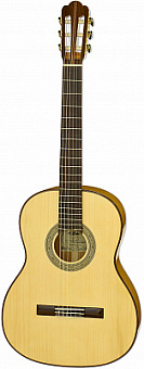 ARIA F207
