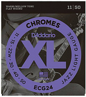 D'ADDARIO ECG24