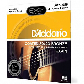 D'ADDARIO EXP14