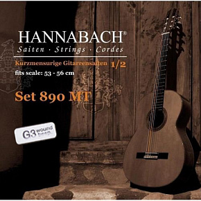 HANNABACH 890MTGW12