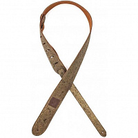 PLANET WAVES 20SD03