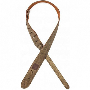PLANET WAVES 20SD03