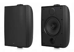 TANNOY DVS 6