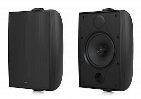TANNOY DVS 6