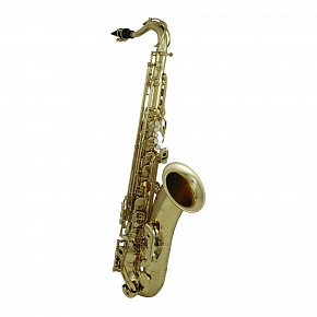 ROY BENSON TS-202 Bb