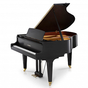 KAWAI GL-20 M/PEP ID