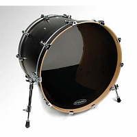 EVANS BD22SCR