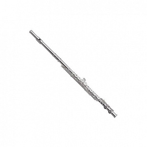 ROY BENSON FL-602E