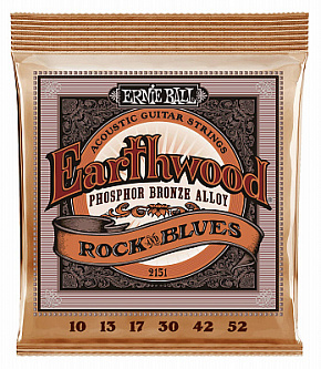 ERNIE BALL P02151