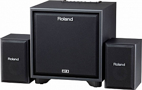 ROLAND CUBE-MONITOR-220