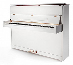 PETROF P 118S1(0001)