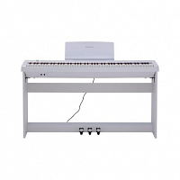 ROCKDALE NOCTURNE S 256 W