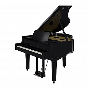 ROLAND GP 9M PE