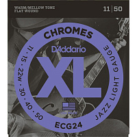 D'ADDARIO ECG24