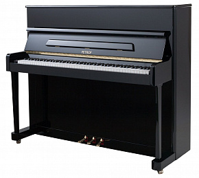 PETROF P 118P1(0801)