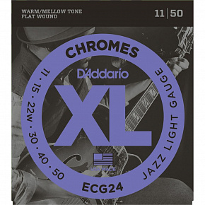 D'ADDARIO ECG24