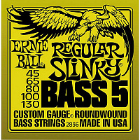 ERNIE BALL P02836