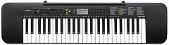 CASIO CTK-240
