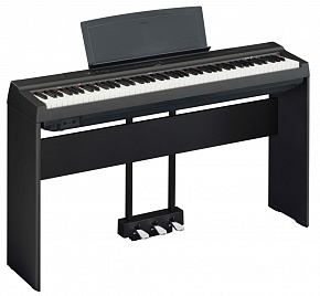 YAMAHA P-125aB