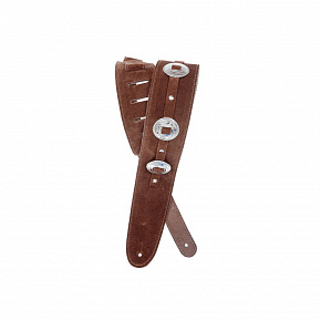 PLANET WAVES 25SSC01