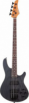SCHECTER C-4 STANDARD CS