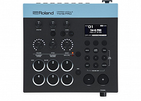 ROLAND TM-6PRO