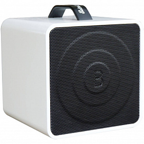 BELCAT Busker Box Acoustic 40