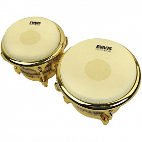 EVANS EB07 Bongo Head 7-1/4"