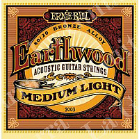 ERNIE BALL P02003