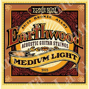 ERNIE BALL P02003