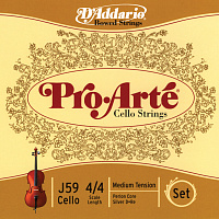 D'ADDARIO J59-4/4M