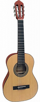 CORT AC50-SG