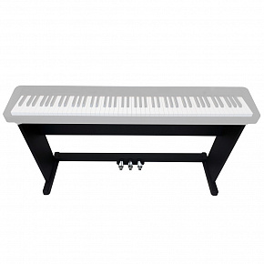 CASIO CS-470P