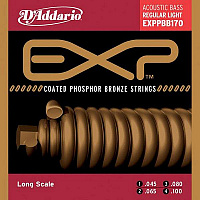 D'ADDARIO EXPPBB170