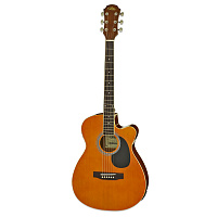 ARIA AFN-15CE N