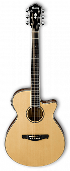 IBANEZ AEG10II-NT