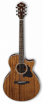 IBANEZ AE245-NT