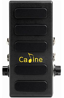 CALINE CP-31P