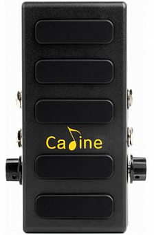 CALINE CP-31P