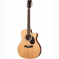 ROOT NOTE RGA300CE-NT