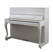 PETROF P 118C1(0001)