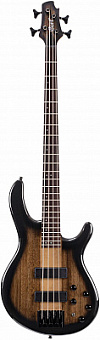 CORT C4-Plus-ZBMH-TBB