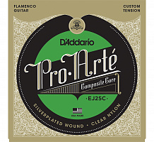 D'ADDARIO EJ25C