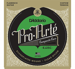 D'ADDARIO EJ25C