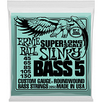 ERNIE BALL P02850