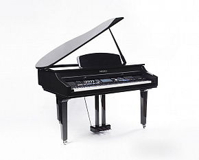 MEDELI GRAND1000(GB)