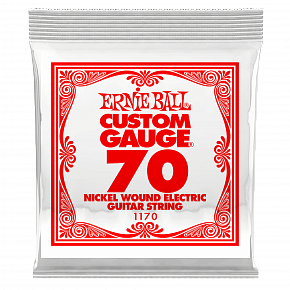 ERNIE BALL 1170